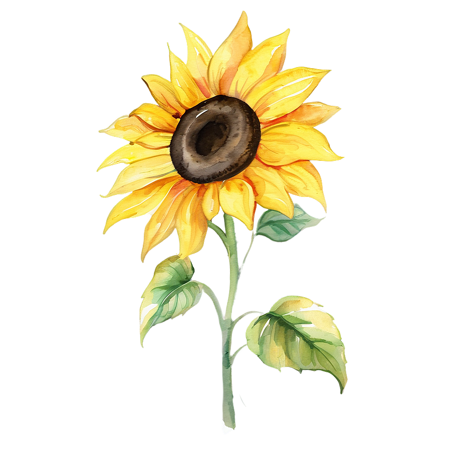 Bright Sunflower Watercolor Painting Png 06272024 PNG image