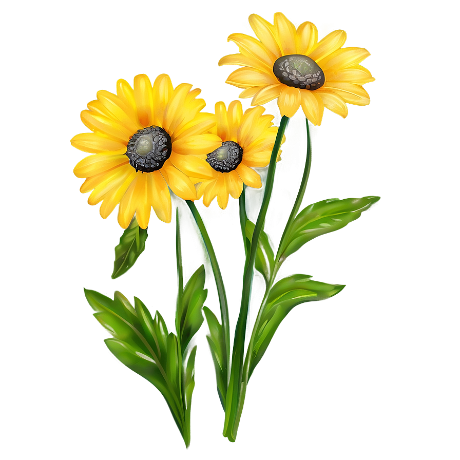 Bright Yellow Daisy Clipart Png 06292024 PNG image