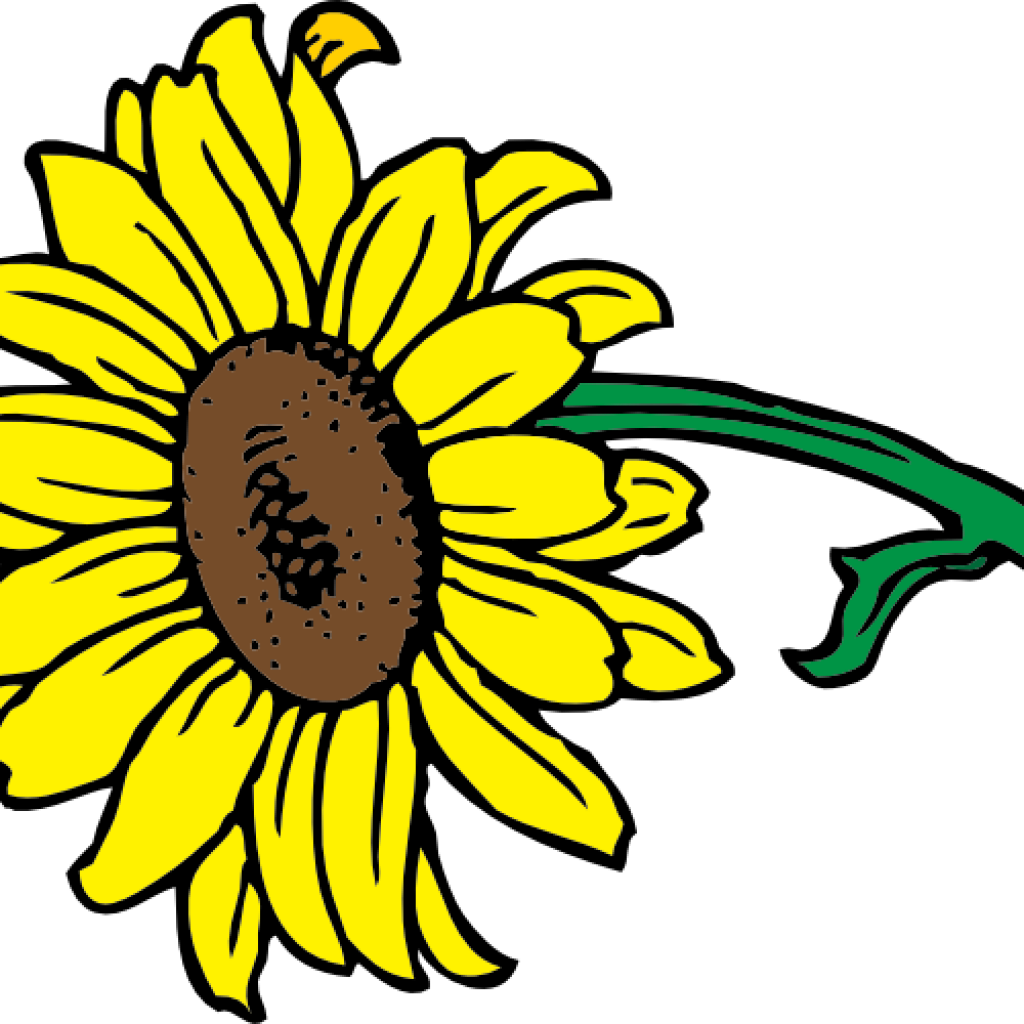 Bright Yellow Sunflower Clipart PNG image