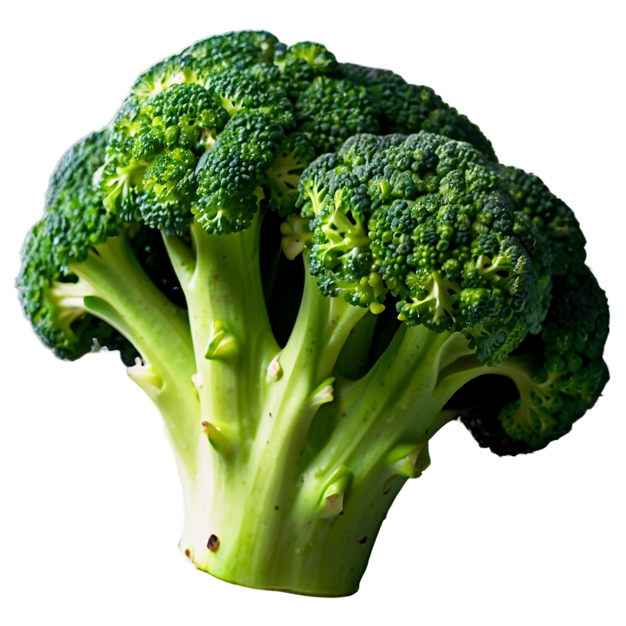 Broccoli Bunch Png 89 PNG image