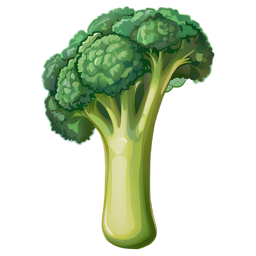 Broccoli Clipart Png 72 PNG image