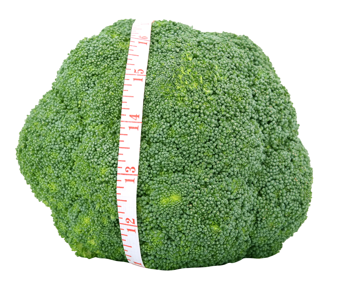 Broccoli Measuring Tape Freshness PNG image