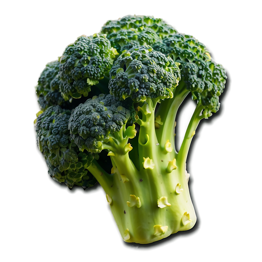 Broccoli Plant Png 05232024 PNG image