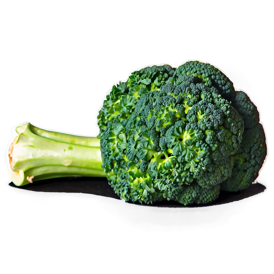 Broccoli Sketch Png Yfs PNG image