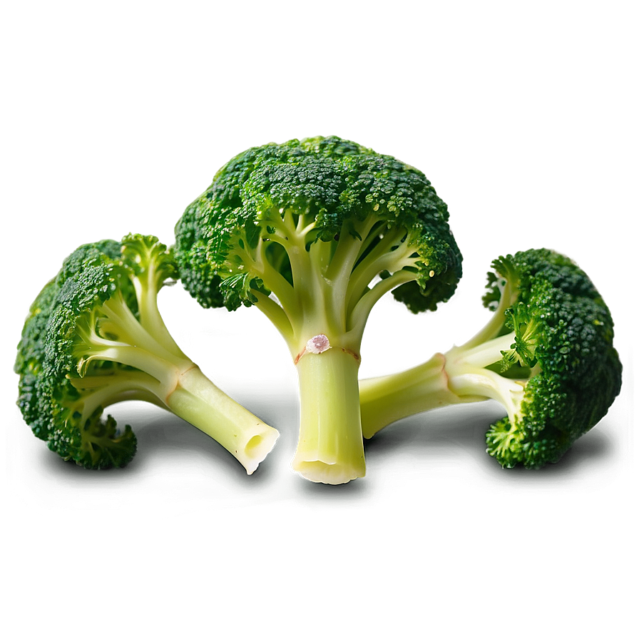 Broccoli Sprouts Png Mqj58 PNG image