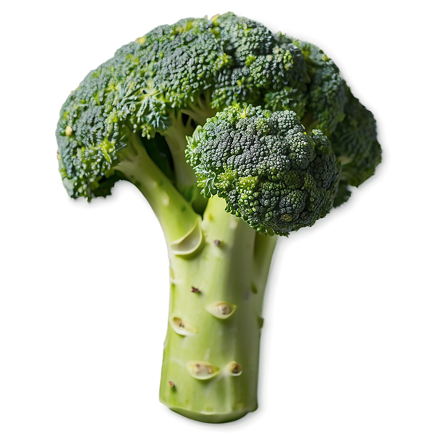 Broccoli Top View Png 53 PNG image