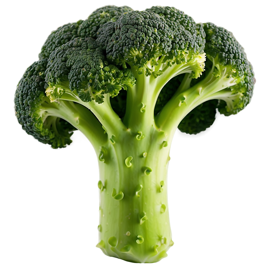 Broccoli Vegetable Png Uwc PNG image