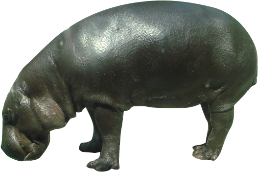 Bronze Hippopotamus Sculpture PNG image