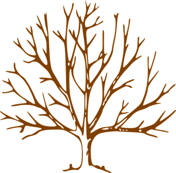 Bronze Tree Silhouette PNG image