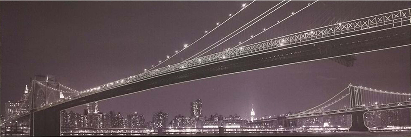 Brooklyn Bridge Nighttime Panorama PNG image