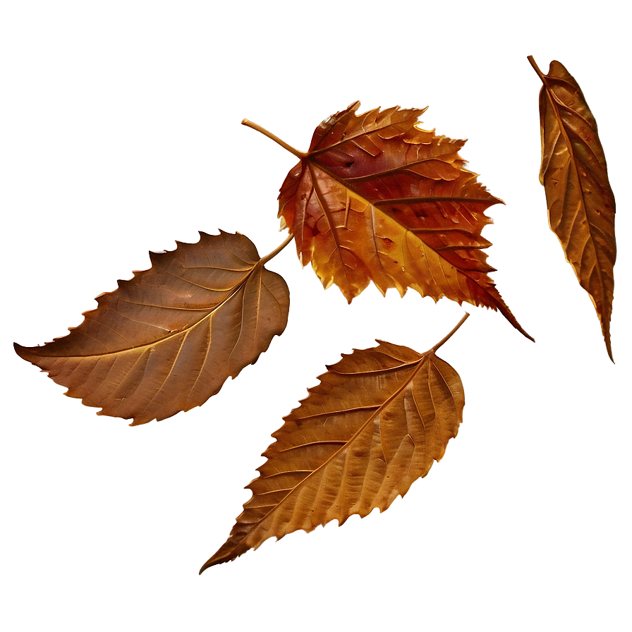 Brown Autumn Leaves Png 20 PNG image