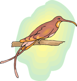 Brown Bird Illustration PNG image