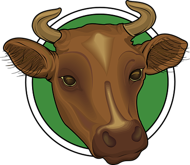 Brown Bull Head Logo PNG image