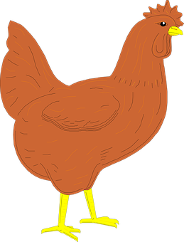 Brown Chicken Illustration PNG image
