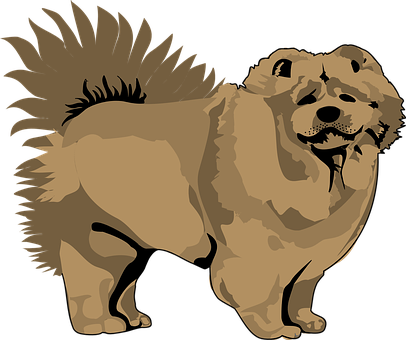 Brown Chow Chow Illustration PNG image
