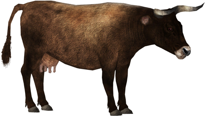 Brown Cow Profile PNG image