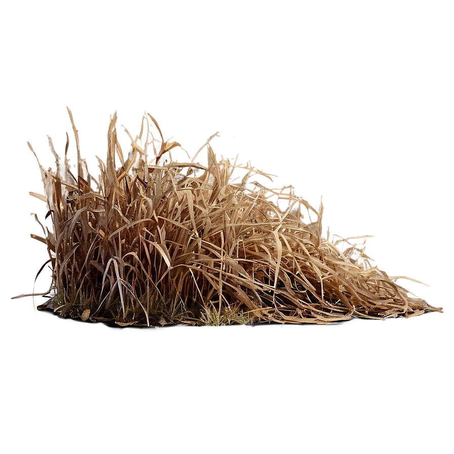 Brown Dead Grass Png Udt PNG image