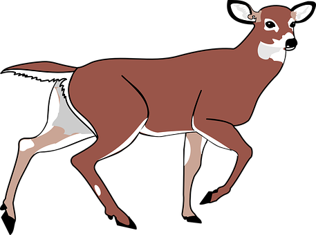Brown Deer Vector Art PNG image
