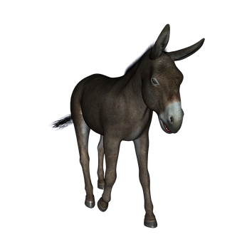 Brown Donkey Black Background PNG image