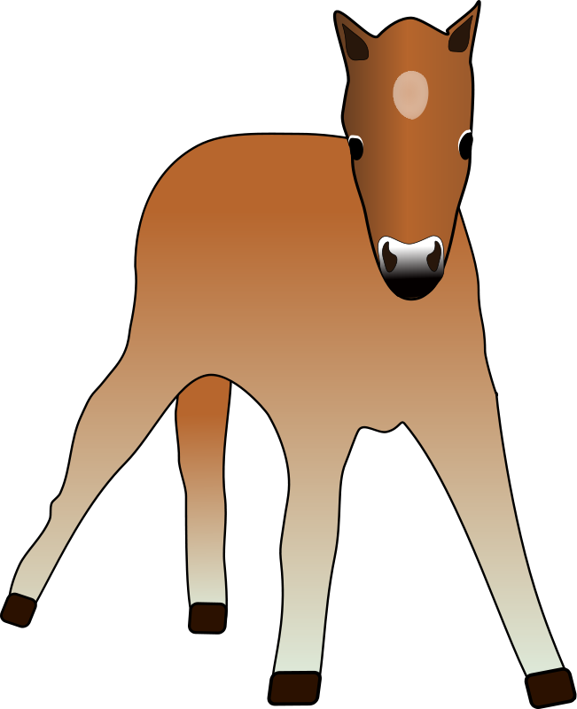 Brown Foal Illustration.png PNG image