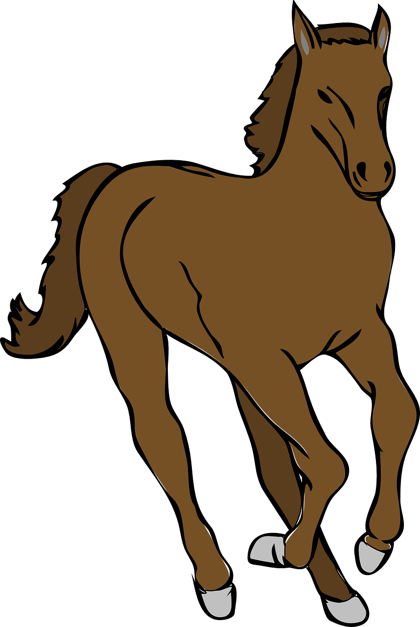 Brown Foal Illustration.png PNG image