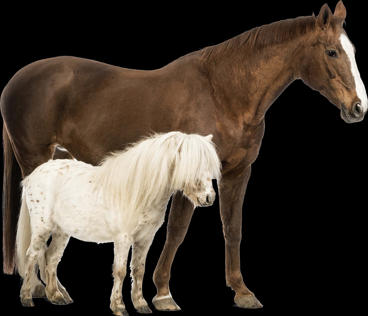 Brown Horseand White Pony PNG image