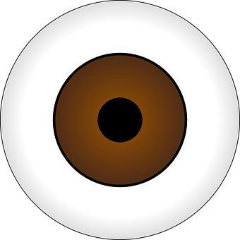 Brown Iris Eye Illustration PNG image