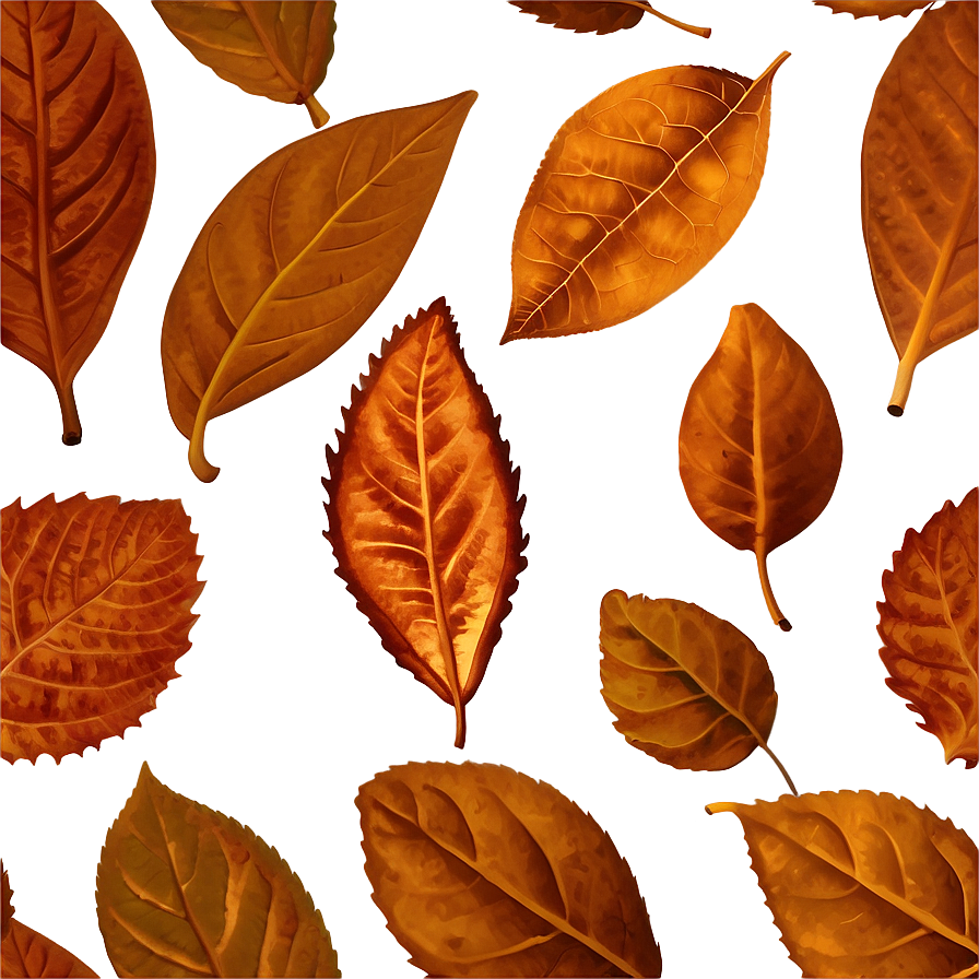 Brown Leaf Png 05032024 PNG image