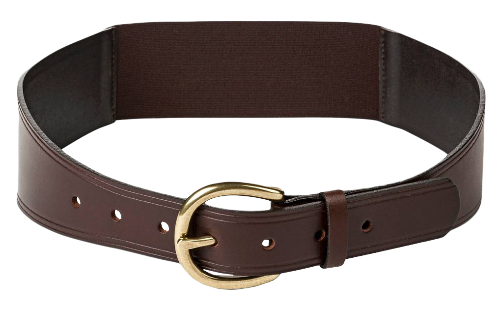 Brown Leather Beltwith Gold Buckle PNG image