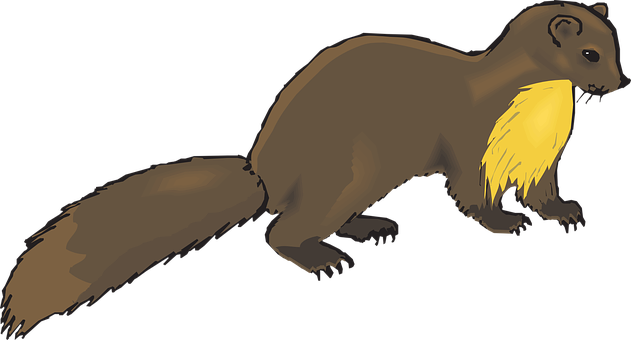 Brown Marten Illustration PNG image