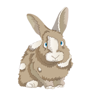 Brownand White Cartoon Rabbit PNG image