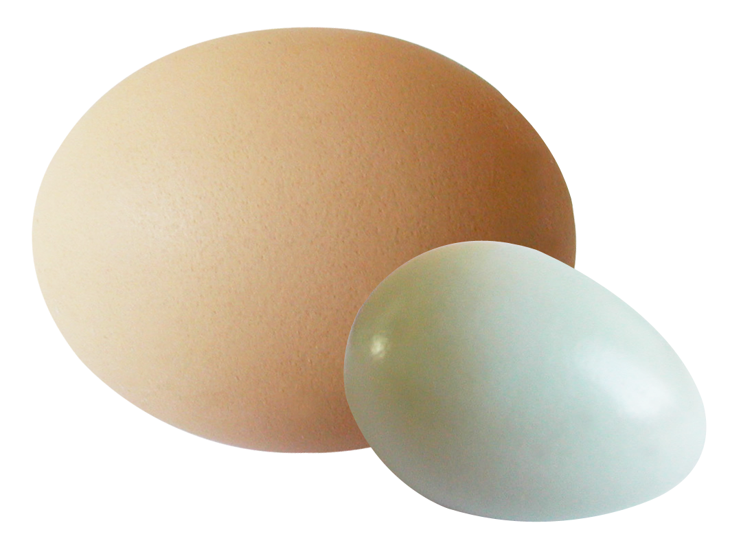 Brownand White Eggs Simple Background PNG image