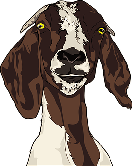 Brownand White Goat Portrait PNG image