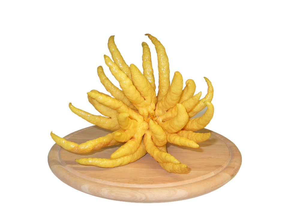 Buddhas Hand Citron Fruit PNG image