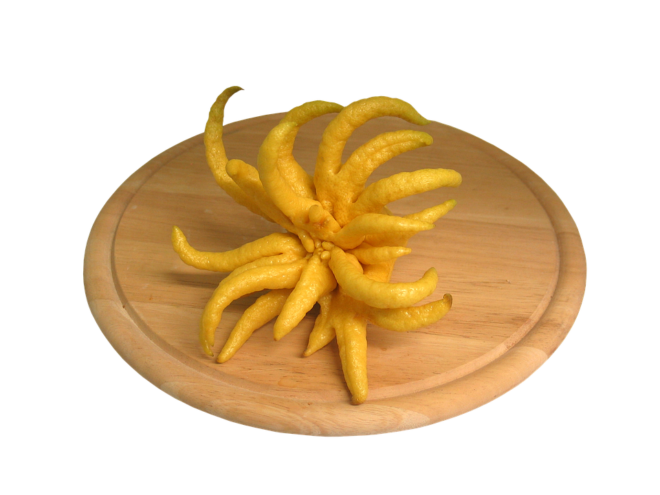 Buddhas Hand Citron Fruit PNG image