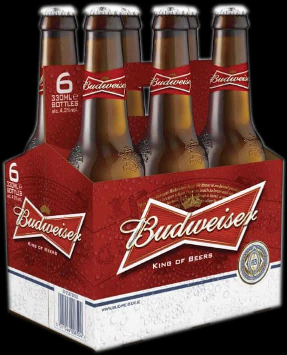 Budweiser6 Pack Bottles Branding PNG image