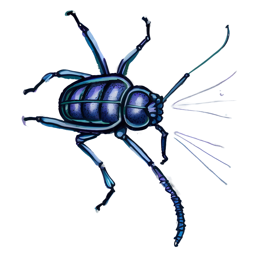 Bug Drawing Png Pid38 PNG image