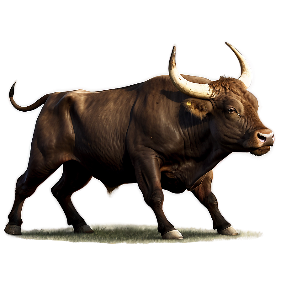 Bull Fighting Bull Png Sri15 PNG image