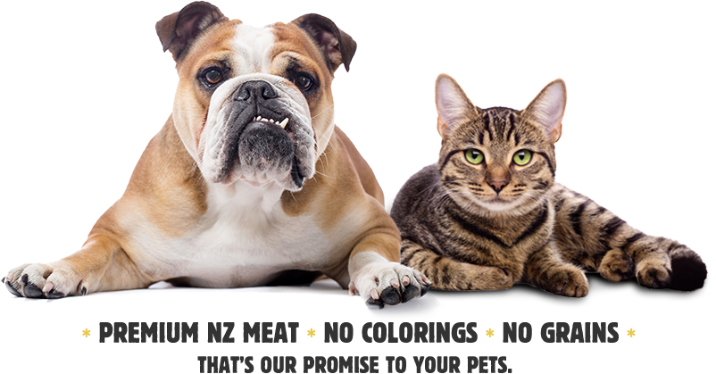 Bulldogand Tabby Cat Premium Pet Food Ad PNG image