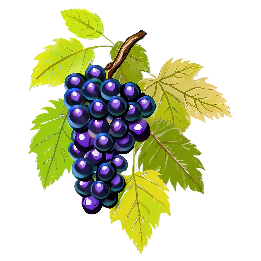 Bunch Of Grapes Png 05212024 PNG image