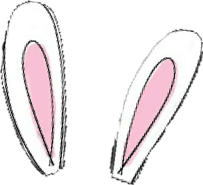 Bunny Ears Illustration.png PNG image
