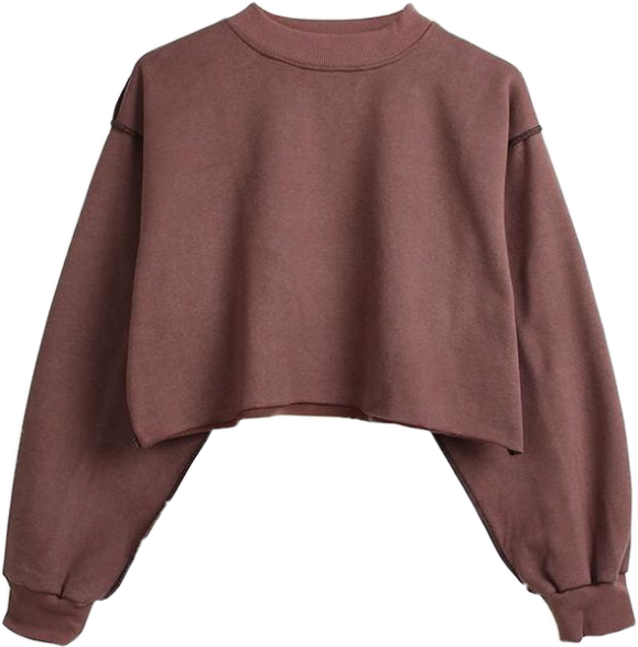 Burgundy Cropped Sweatshirt PNG image