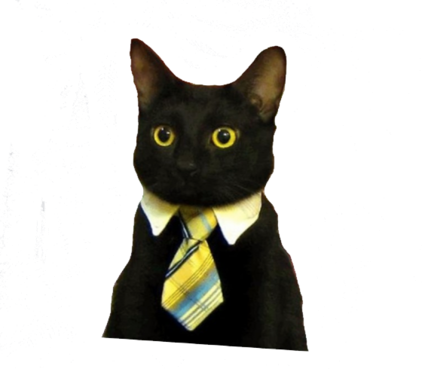 Business Cat Meme.png PNG image