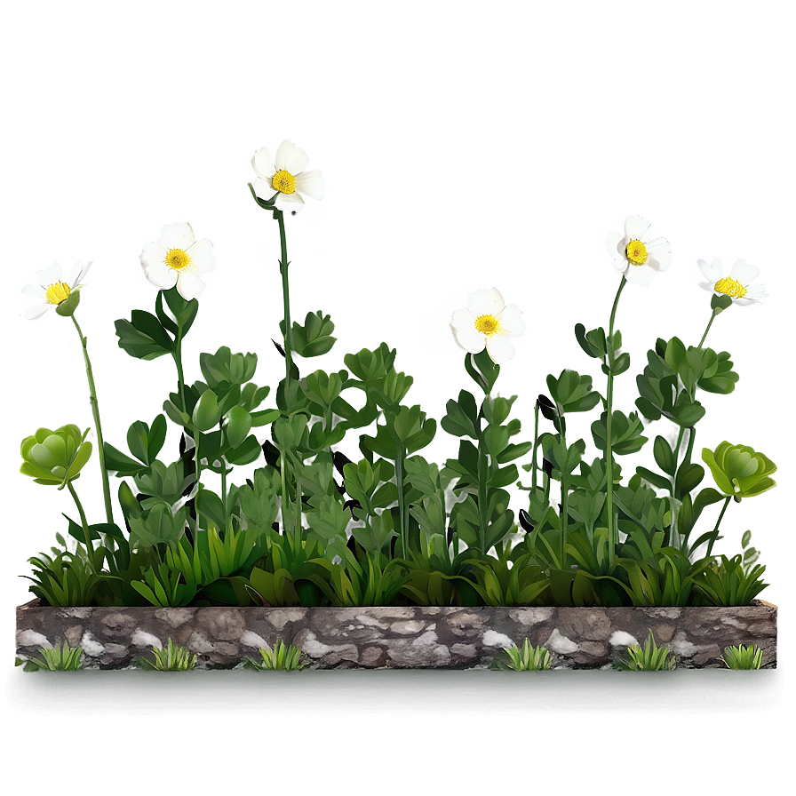 Buttercup Garden Png 06252024 PNG image