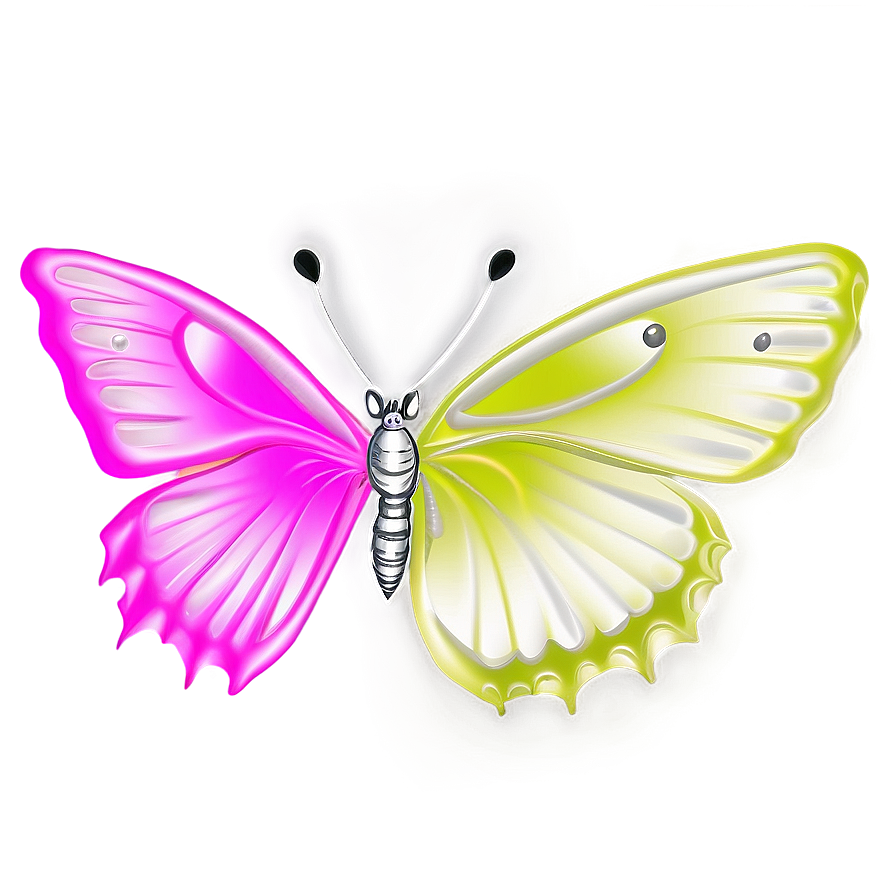 Butterfly Coloring Page Png 68 PNG image