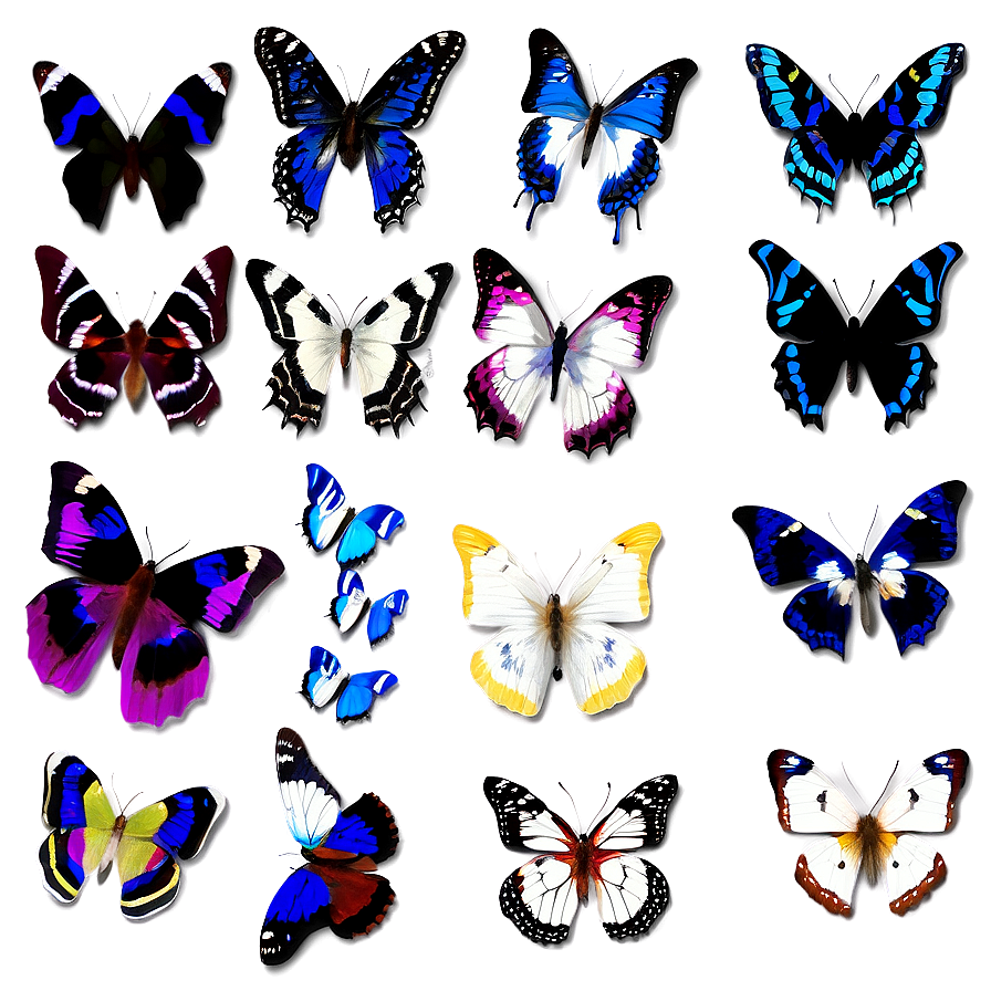 Butterfly Flock Swarm Png Ggh PNG image