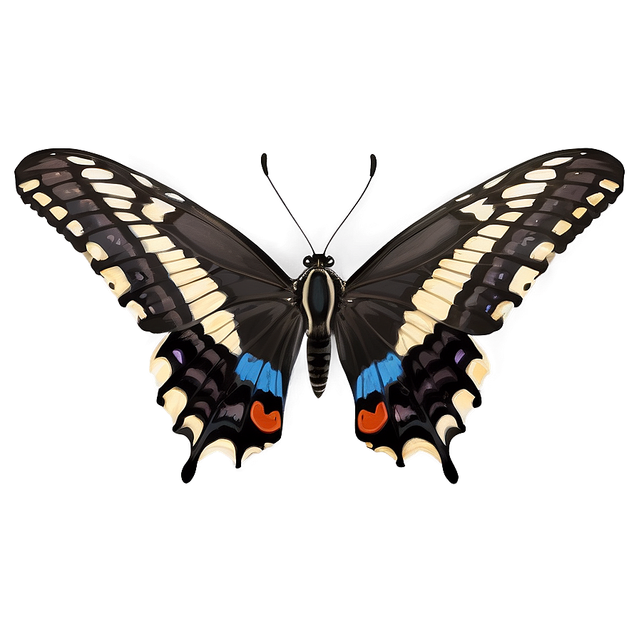 Butterfly In The Wild Png 12 PNG image