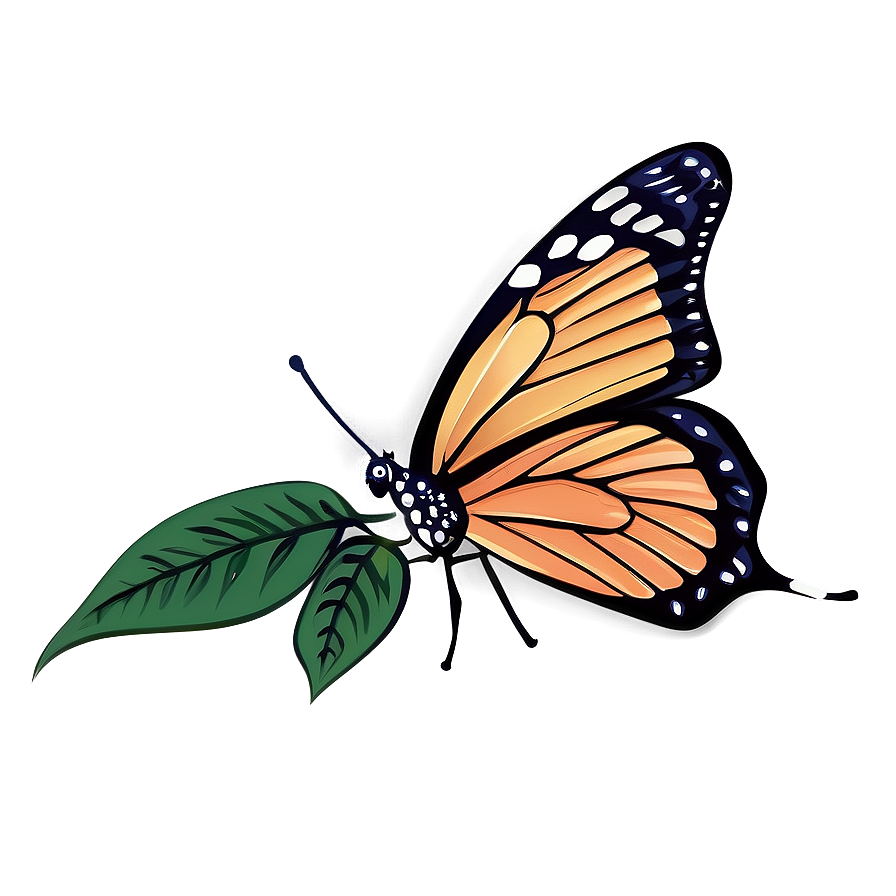 Butterfly Outline Vector Png 05252024 PNG image