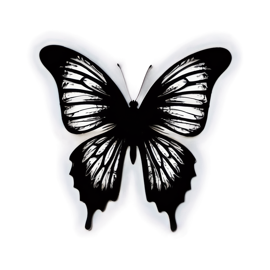 Butterfly Silhouette Outline Png 05252024 PNG image