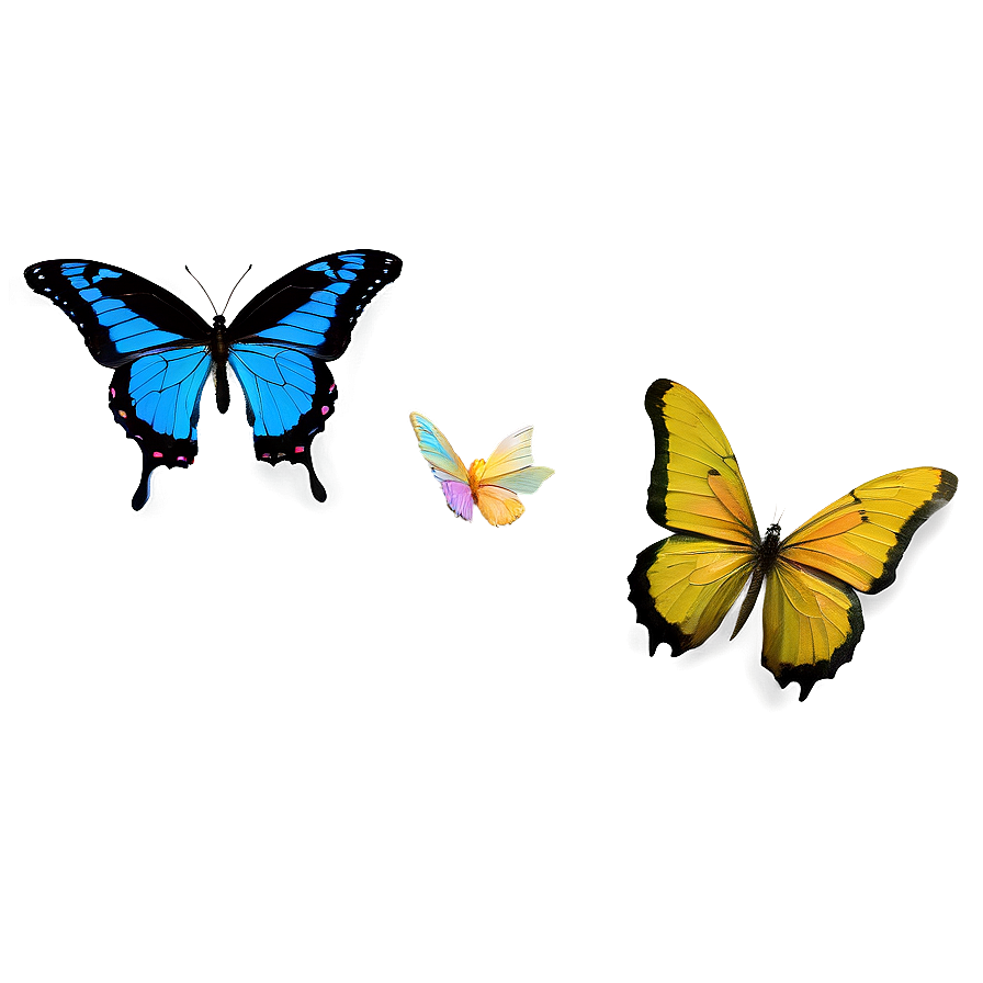 Butterfly Utopia Png Vhj PNG image